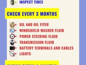 How Often Should You Check Your Car Battery