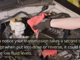 Common Signs of Low Fluid Levels in a Car